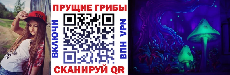 закладки  сайты даркнета формула  Псилоцибиновые грибы Cubensis  Инсар 